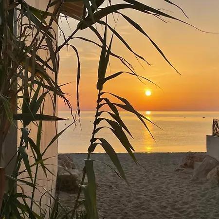 Apartment 2 Pieces Pres De La Plage, Jardin Prive, Animaux Admis - Fr-1-776-110 *