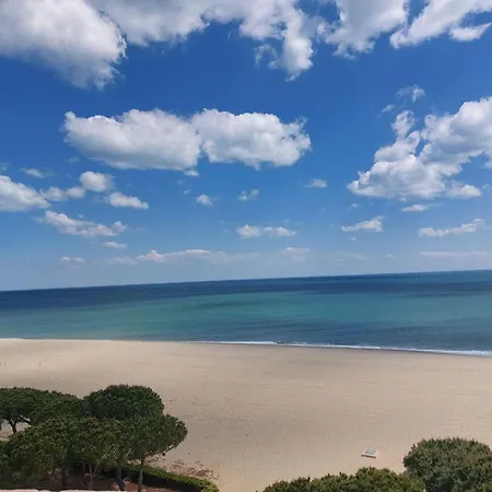 2 Pieces Pres De La Plage, Jardin Prive, Animaux Admis - Fr-1-776-110 * Argeles-sur-Mer