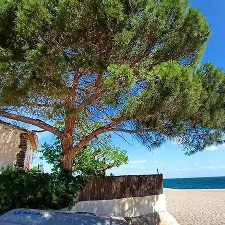 2 Pieces Pres De La Plage, Jardin Prive, Animaux Admis - Fr-1-776-110 公寓 *