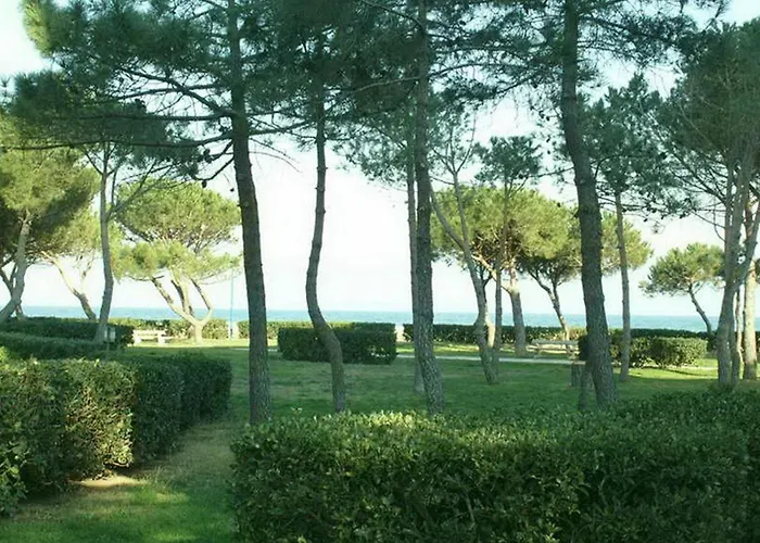 2 Pieces Pres De La Plage, Jardin Prive, Animaux Admis - Fr-1-776-110 アルジェレス・シュル・メール